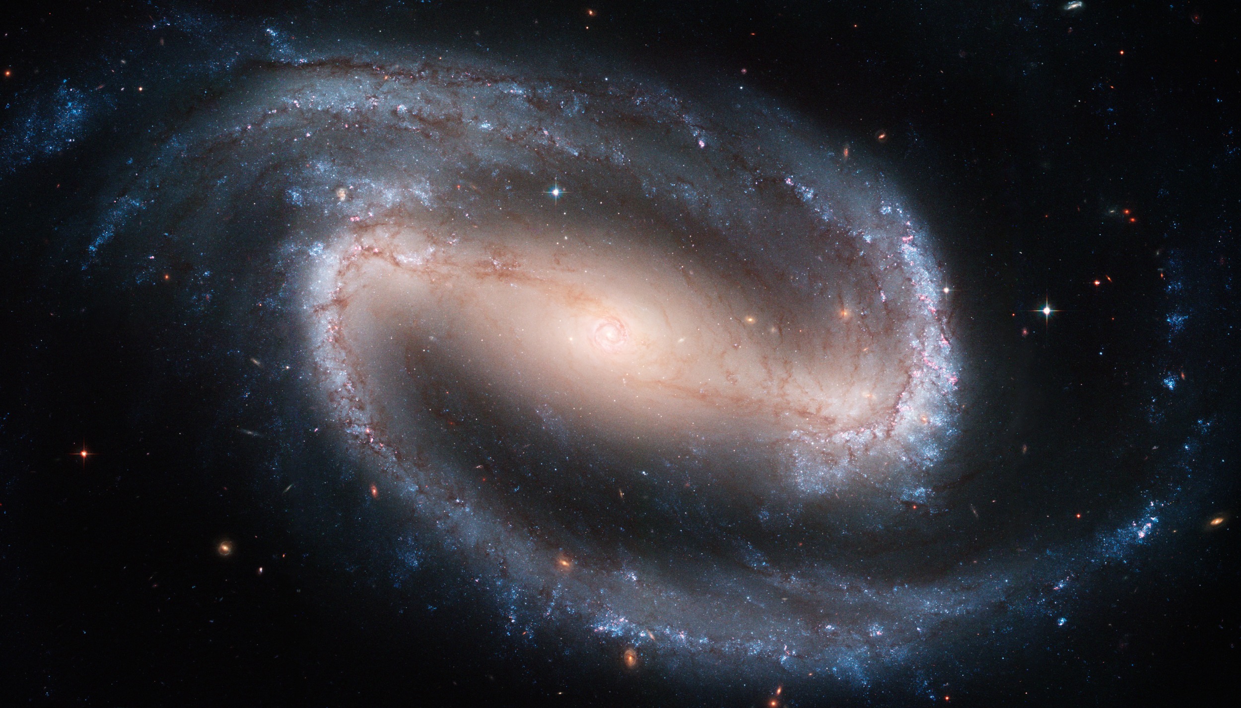 NGC 1300 observational image