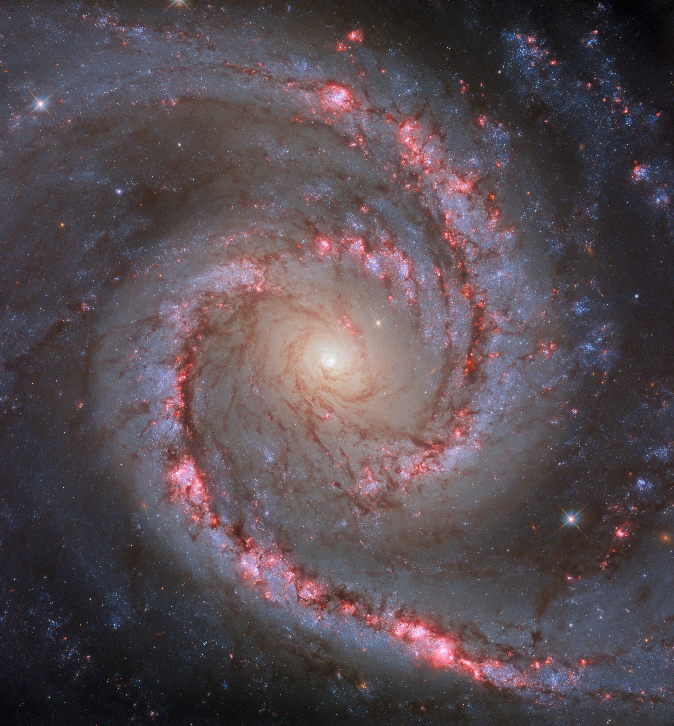 Spanish Dancer Galaxy observational image